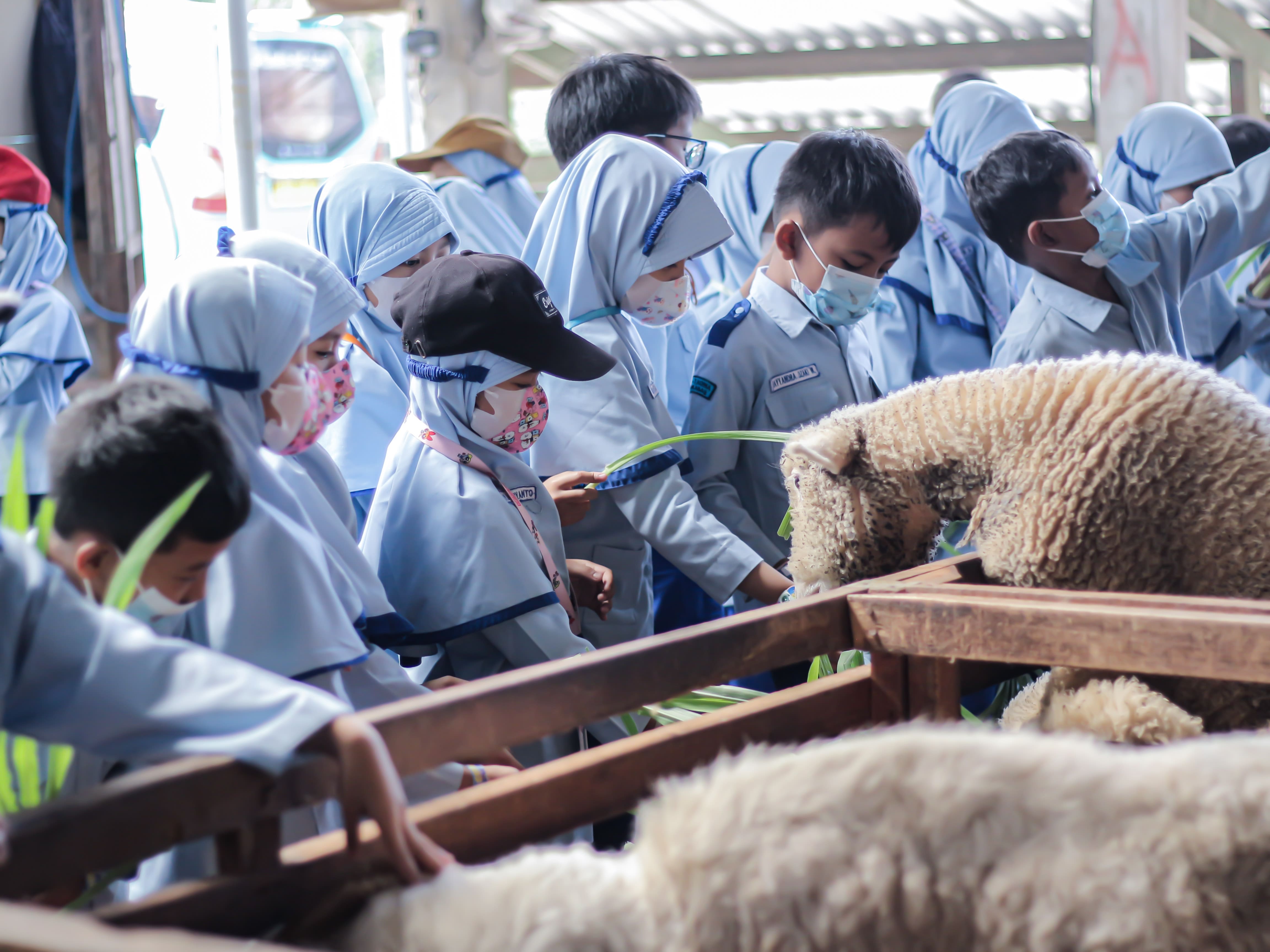Outing Class Kelas 2 di Garden Teria